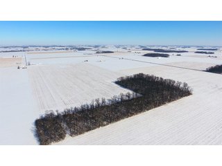 Property photo 30 - OHIO REAL ESTATE AUCTION - 202+/- ACRES IN 3 TRACTS IN VAN WERT COUNTY, OHIO